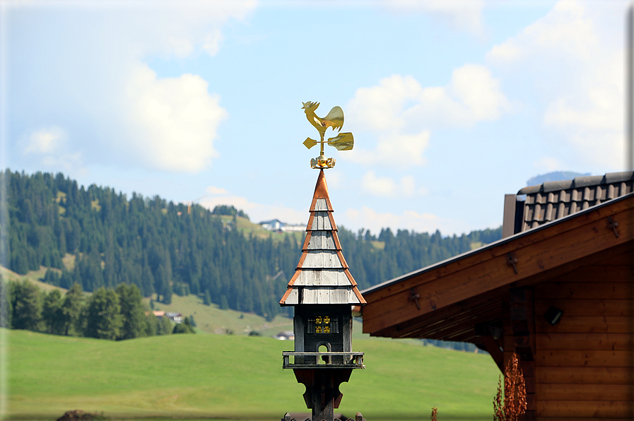 foto Alpe di Siusi